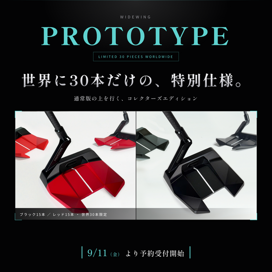 WIDEWING PROTOTYPE 1